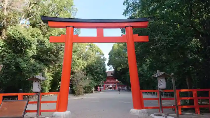 賀茂御祖神社(下鴨神社)の鳥居