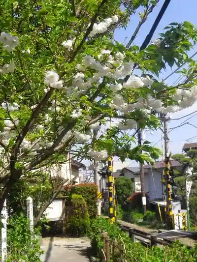 御霊神社の周辺