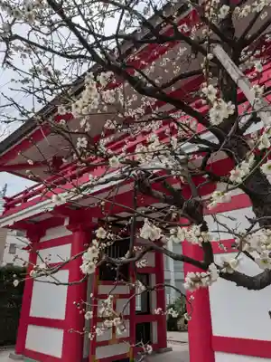 成子天神社(東京都)
