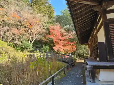 観心寺(大阪府)