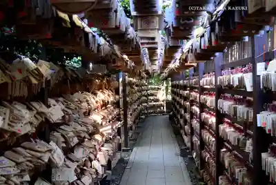 川越氷川神社(埼玉県)