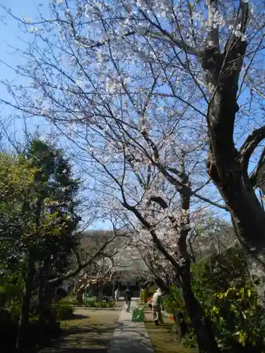 極楽寺（霊鷲山感應院極楽律寺）の景色