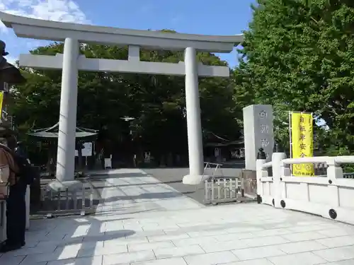 白旗神社の鳥居