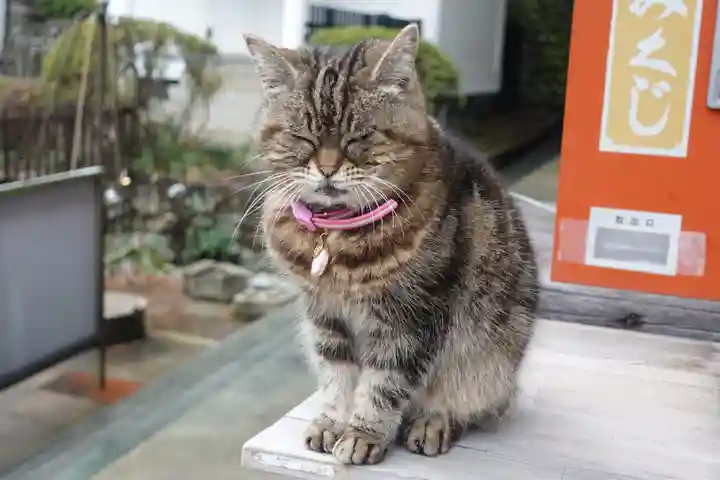 白峯寺(香川県)