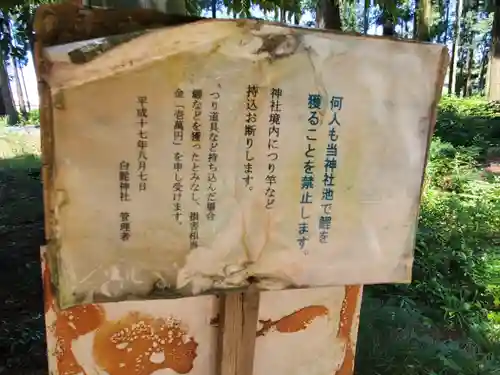 白髭神社のその他建物