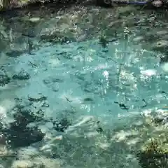 泉神社の庭園