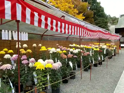 秩父神社の自然