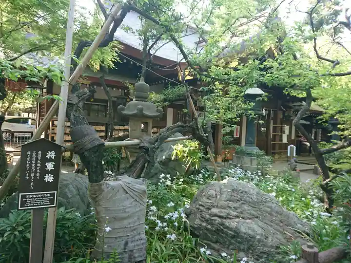 愛宕神社の本殿・本堂