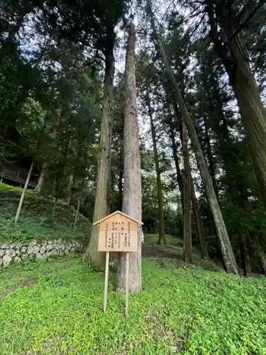 子檀嶺神社(長野県)