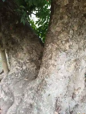 巽神社(神奈川県)