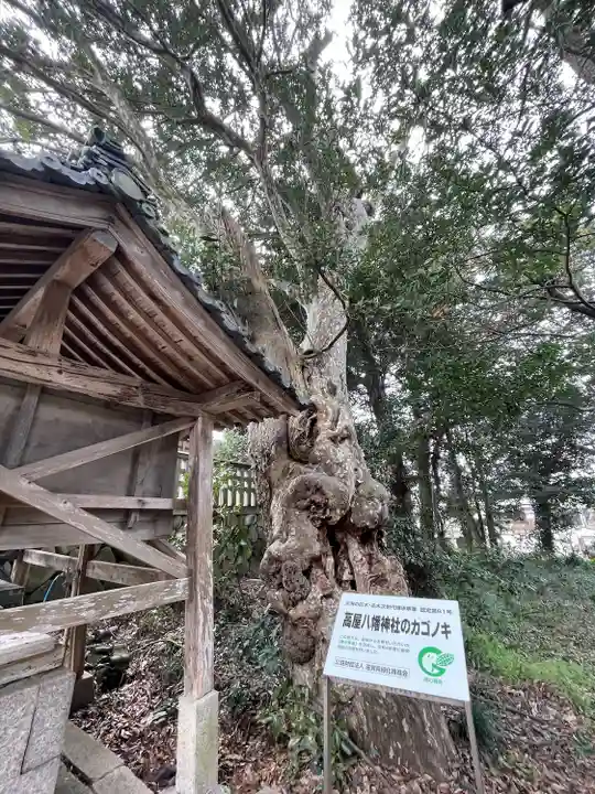 高屋八幡神社(滋賀県)