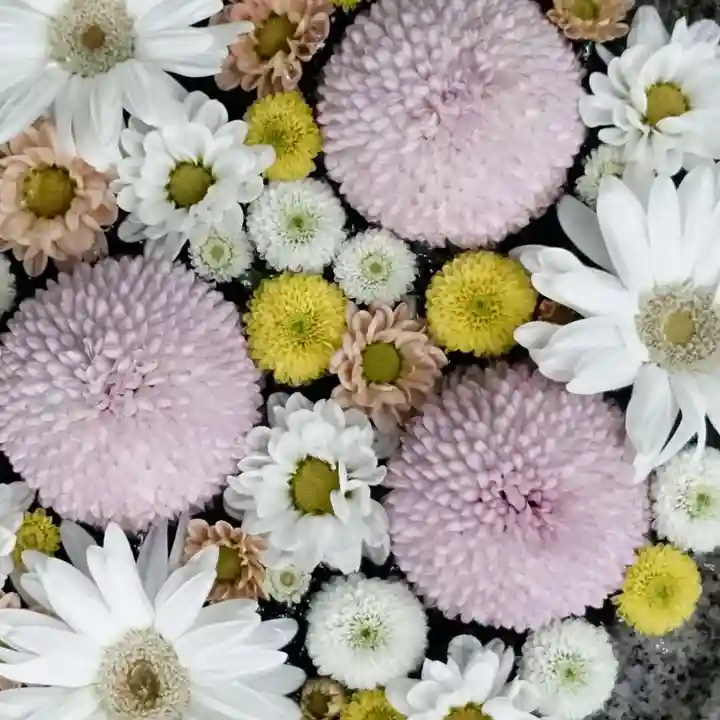 帯廣神社の手水舎