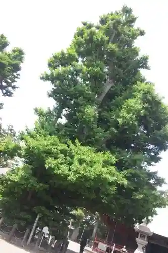 勝福寺(神奈川県)