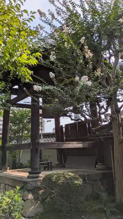 妙光寺(滋賀県)