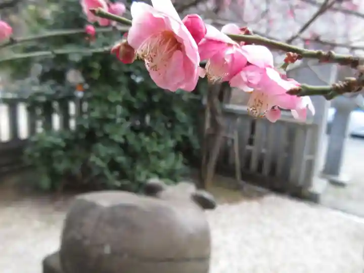 牛天神北野神社の自然