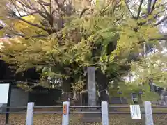 葛飾八幡宮の庭園