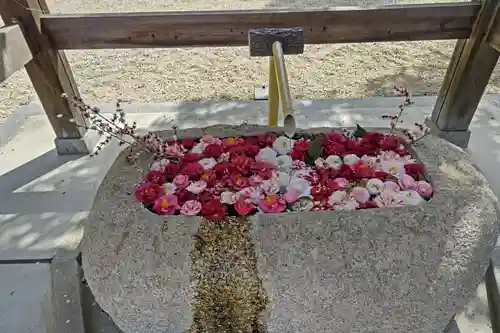 神館神社の手水舎