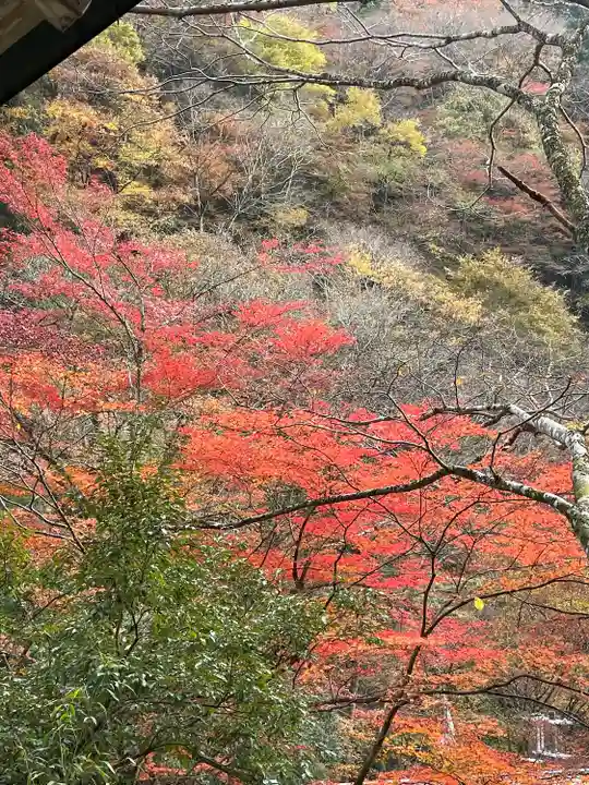 貴船神社の自然