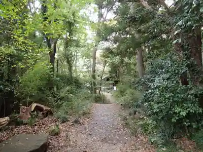 月水石神社の自然