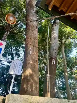検見川神社(千葉県)