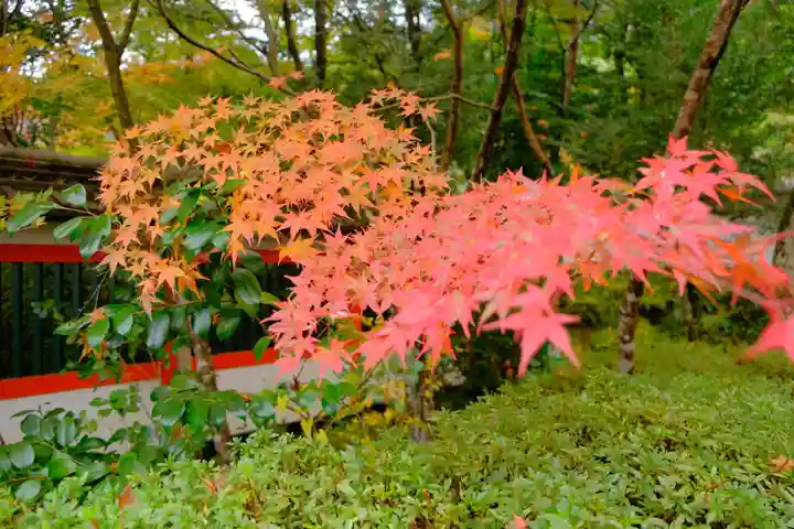 鍬山神社の自然