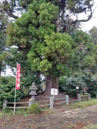 小川温泉神社(栃木県)
