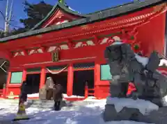 赤城神社の狛犬