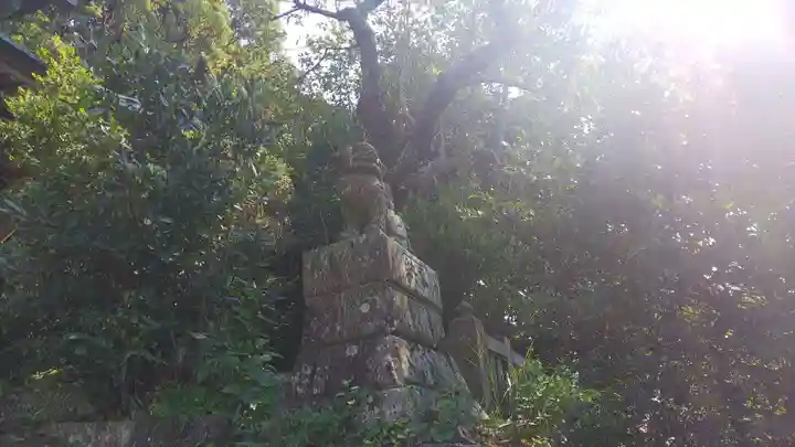 新井神社の狛犬