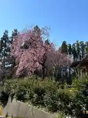 居多神社(新潟県)