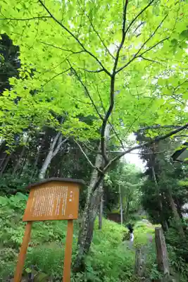 戸隠神社火之御子社(長野県)