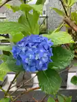 總社 和田八幡宮の自然