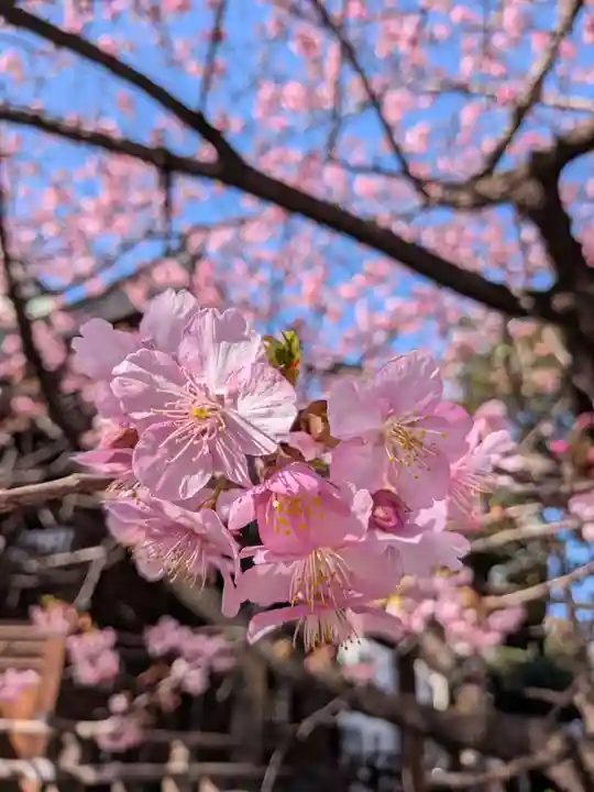 新宿下落合氷川神社(東京都)