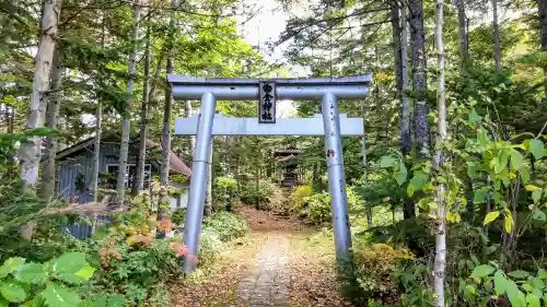 白金神社の鳥居