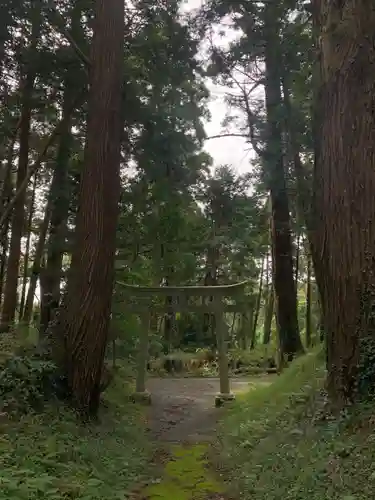 日吉神社の鳥居