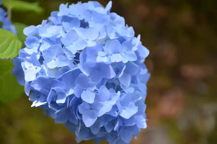 東福禅寺(東福寺)(京都府)