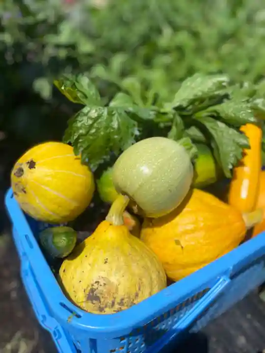 磐椅神社(福島県)