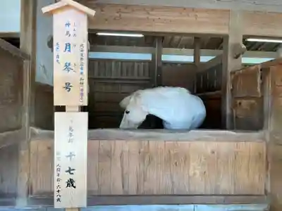 金刀比羅宮(香川県)