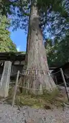 日枝神社(岐阜県)