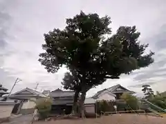 大坂山口神社(逢坂)(奈良県)