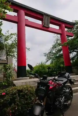 亀戸天神社の鳥居