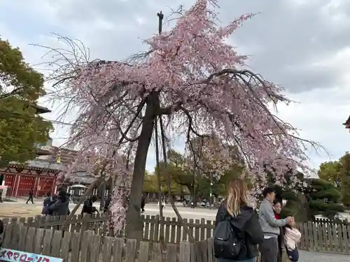 四天王寺(大阪府)