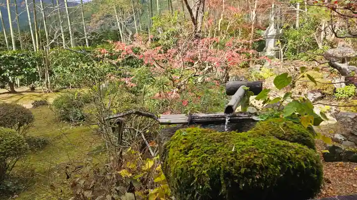 宝泉院(京都府)