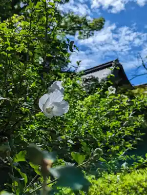 廣隆寺(京都府)