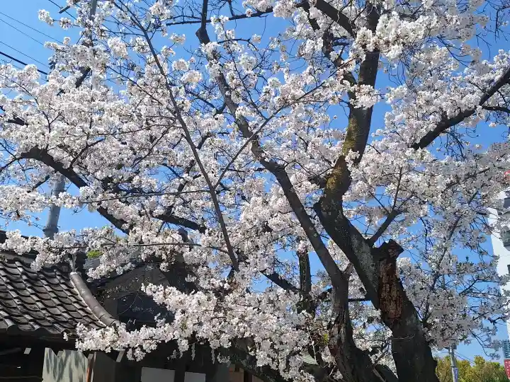 櫻宮の{uncategorized: "未分類", other: "その他", undefined: "問題あり", building: "その他建物", grave: "お墓", sacred_gate: "鳥居", guardian: "狛犬", statue: "像", buddha: "仏像", history: "歴史", nature: "自然", garden: "庭園", animal: "動物", pagoda: "塔", temizu: "手水舎", mountain_gate: "山門・神門", sanctuary: "本殿・本堂", subordinate: "末社・摂社", art: "芸術", scenery: "景色", jizo: "地蔵", ema: "絵馬", goshuin: "御朱印", omikuji: "おみくじ", items: "授与品その他", amulet: "お守り", goshuincho: "御朱印帳", eats: "食事", festival: "お祭り", votive_dance: "神楽", shichigosan: "七五三参", wedding: "結婚式", experience: "体験その他", initially: "初詣", around: "周辺", anti_infection: "感染症対策"}