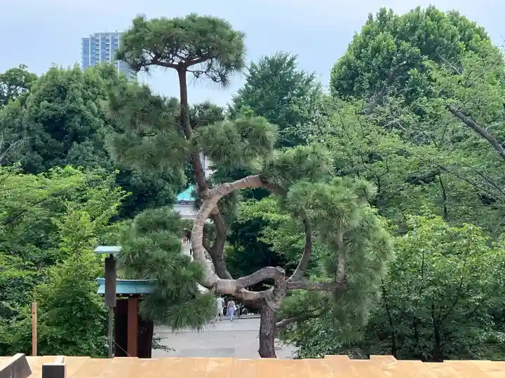 清水観音堂(東京都)