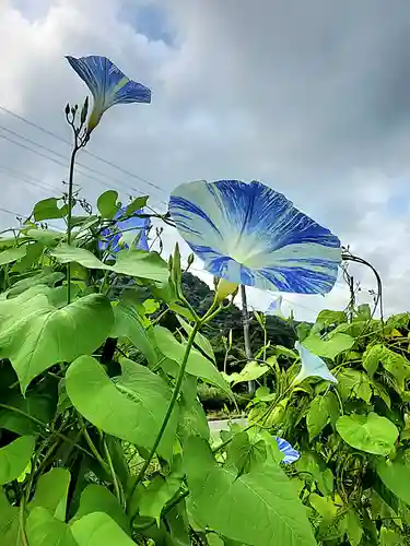高司神社〜むすびの神の鎮まる社〜(福島県)