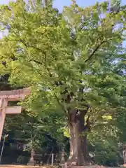 石部神社(兵庫県)