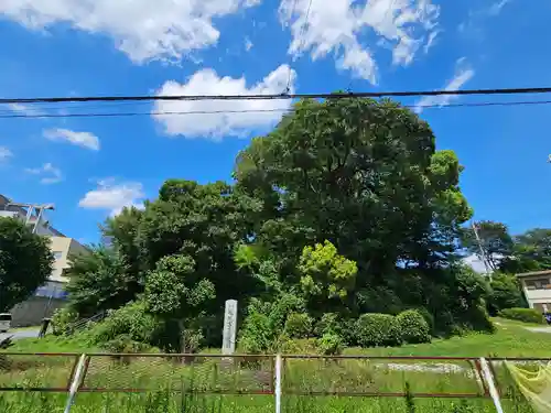 富士見稲荷神社(埼玉県)