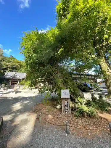 伊古奈比咩命神社(静岡県)