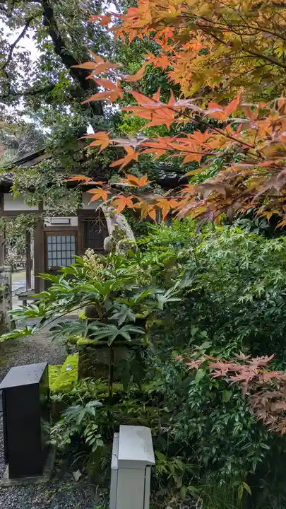 禅林寺(永観堂)(京都府)